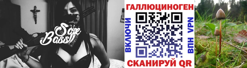 Псилоцибиновые грибы Cubensis  где продают наркотики  hydra сайт  Пугачёв 